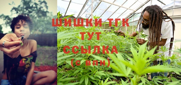 молекула духа Навашино