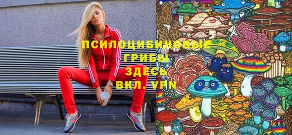 соль курить ск Михайловка