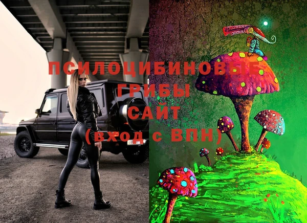 спиды Медвежьегорск