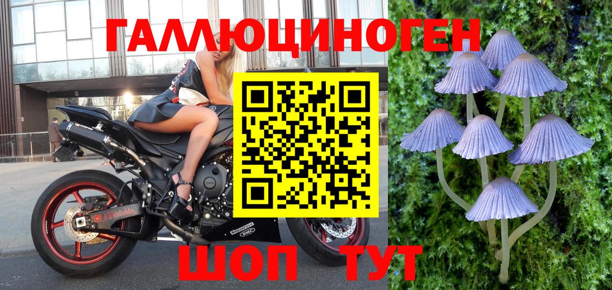 Луга  Галлюциногенные грибы Psilocybe  Галлюциногенные грибы мухоморы  Вход с VPN 