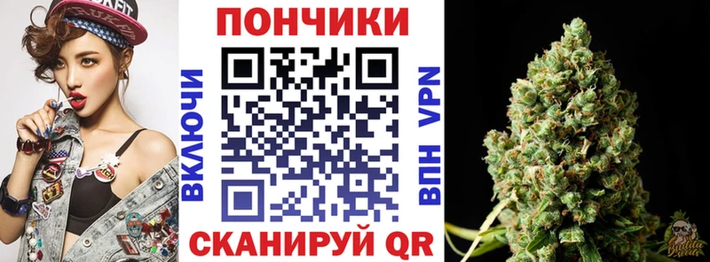 Шишки марихуана THC 21%  Луга 