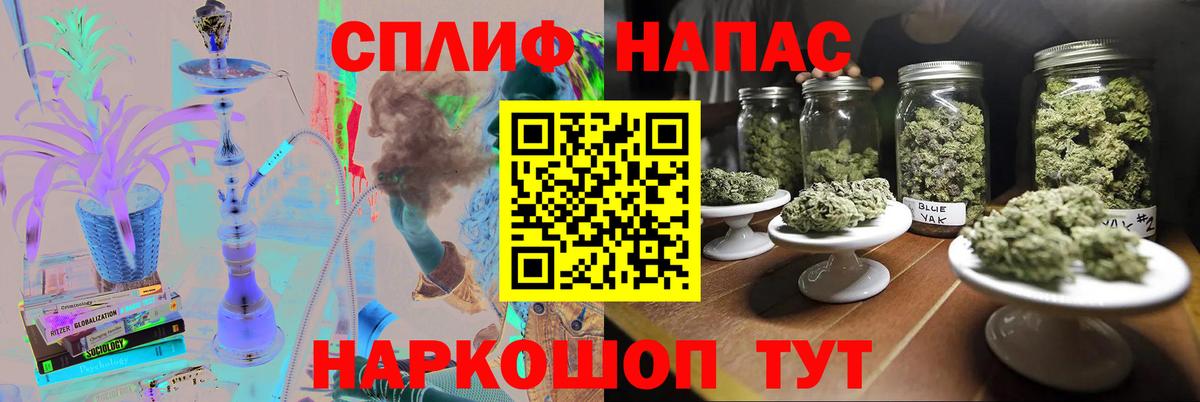 Каннабис планчик Луга